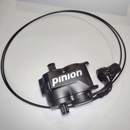 [PI-01-0003-01] Baugruppe Pinion T1.12 mit Schaltgriff